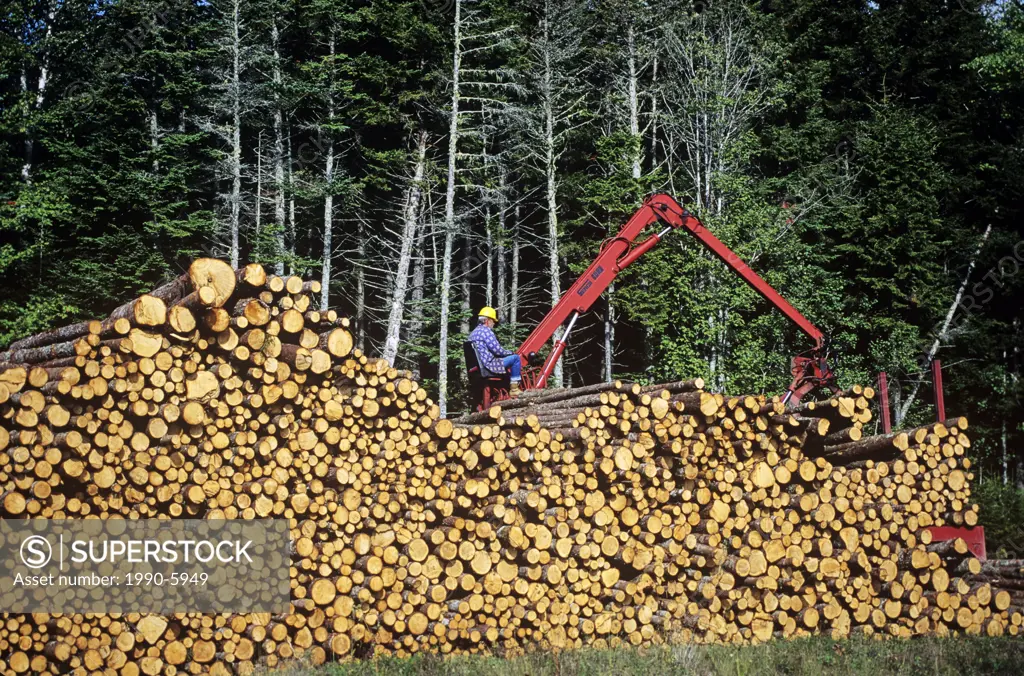 Loading pulp wood, Sussex, New Brunswick, Canada