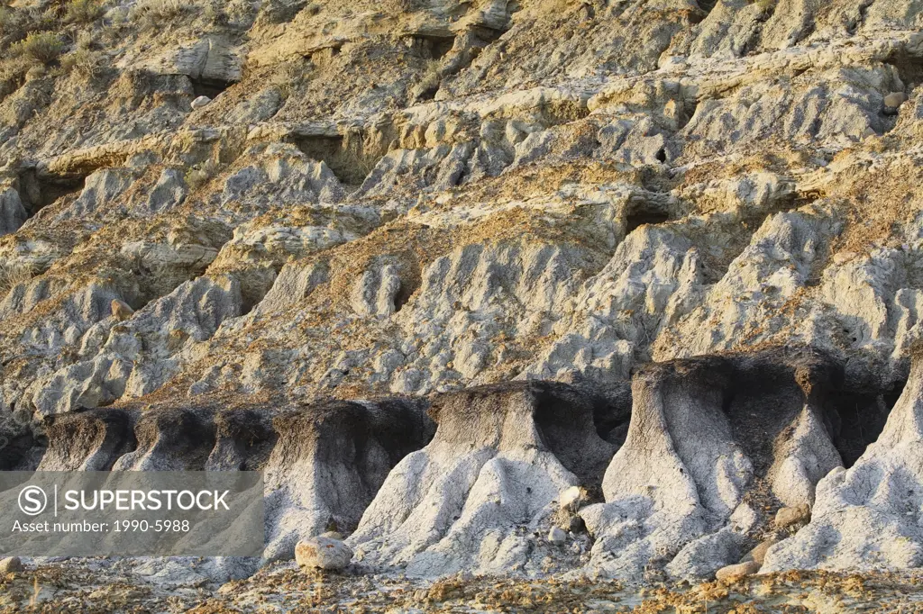 Badland geological formations along the eroded valley banks of the South Saskatchewan River in Sandy Point Park, Alberta, Canada