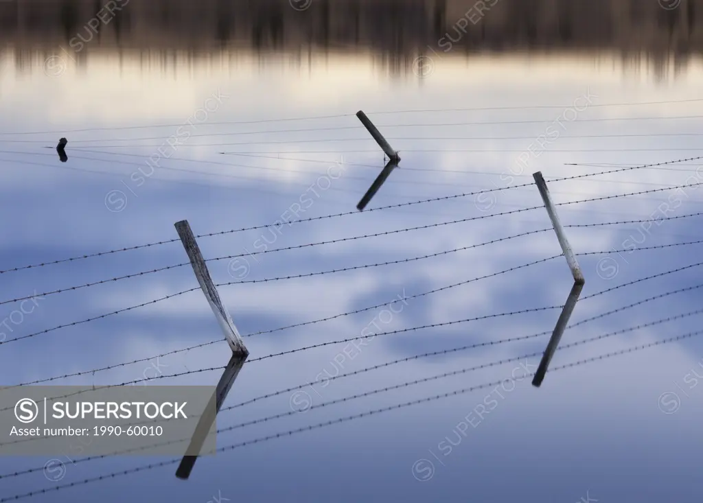 Fences running through flooded Alberta field near Cochrane, Alberta, Canada