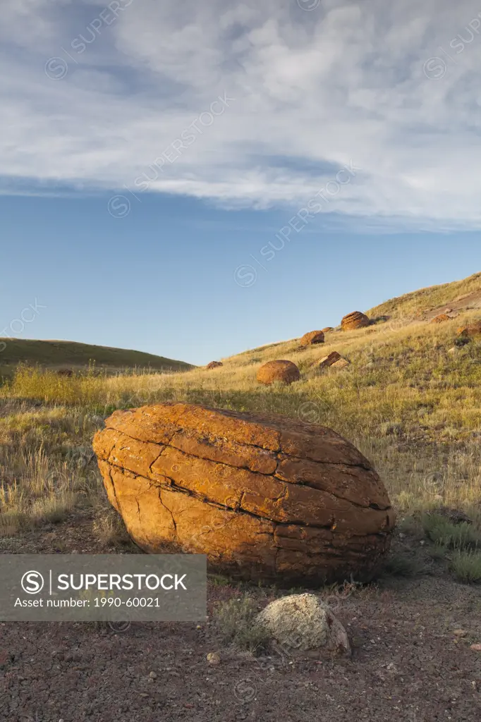 Sandstone concretions in Red Rock Coulee Natural Area, Alberta, Canada