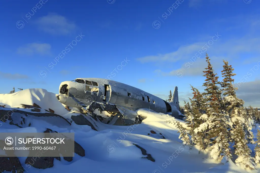 Plane wreck on the northern treeline of the boreal forest in the subarctic, northern Manitoba, Canada
