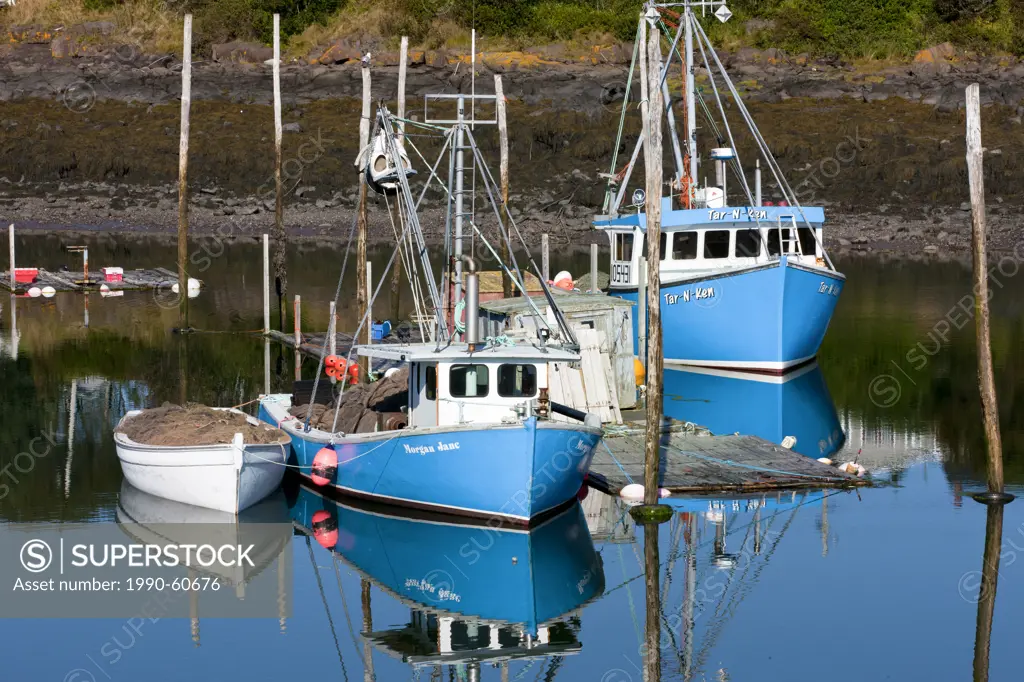 Fishing boats tied up at Seal Cove Harbour, Grand Manan Island, Bay of Fundy, New Brunswick, Canada