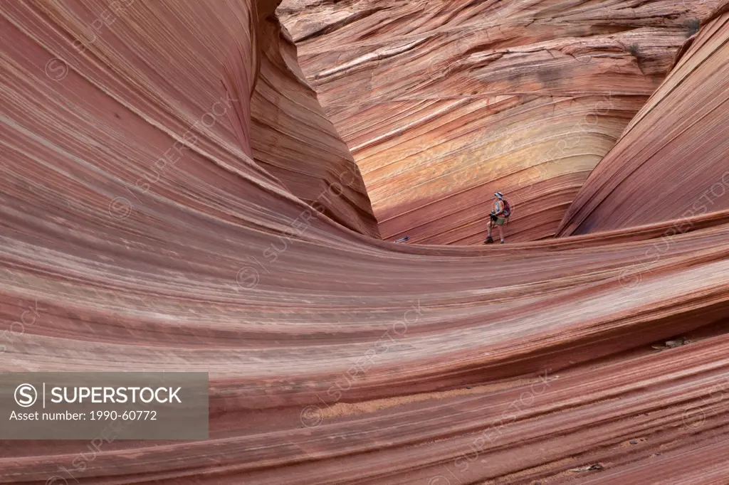 Hiker in the Wave, North Coyote Buttes, Paria Canyon_Vermilion Cliffs Wilderness Area, Utah, United States of America