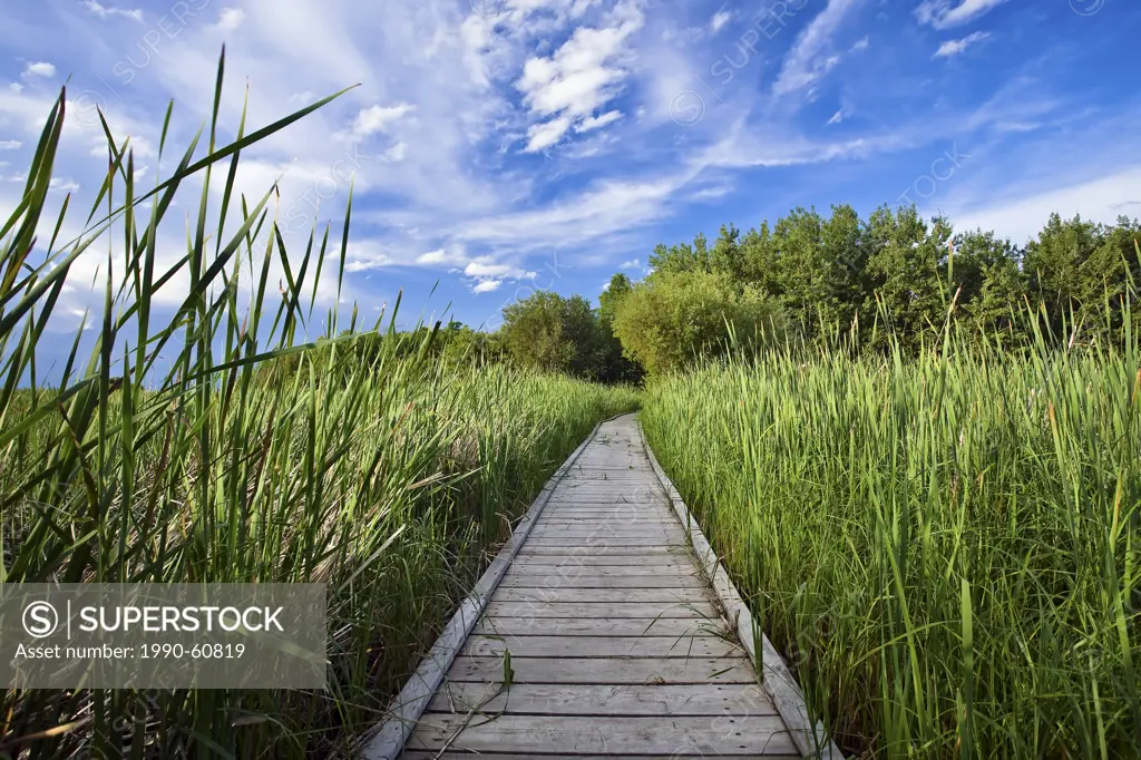 Boardwalk through marsh, Grand Beach Provincial Park, Manitoba, Canada