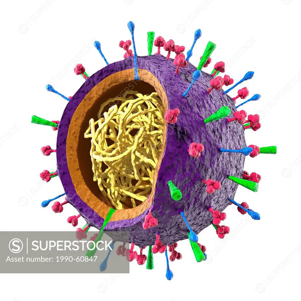 Colored particle of Flu virus H1N1 H5N1 influenza A virus _ virion structure. 3D illustration isolated on white background. Red _ neuraminidase, Blue ...