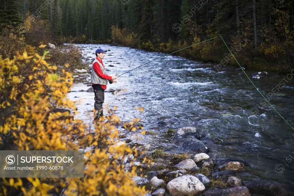 Middle aged man fly fishing in river, Jasper National Park, Alberta, Canada.