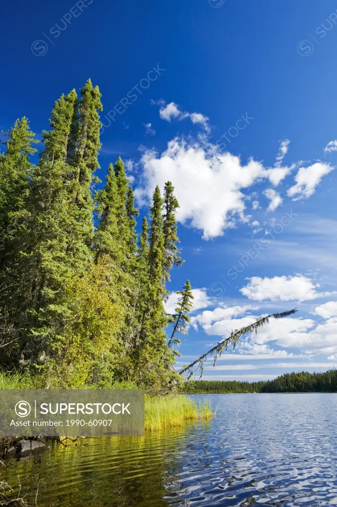 Little Deer Lake, Lac La Ronge Provincial Park, Northern Saskatchewan, Canada
