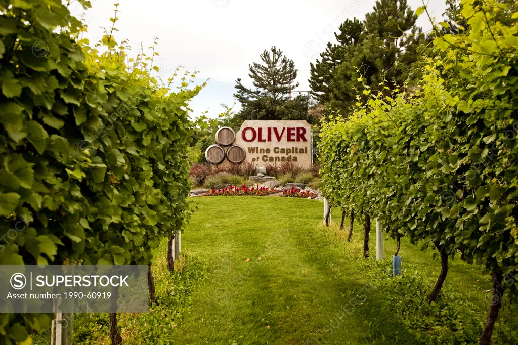 Oliver, Wine Capital of Canada, BC, Canada.