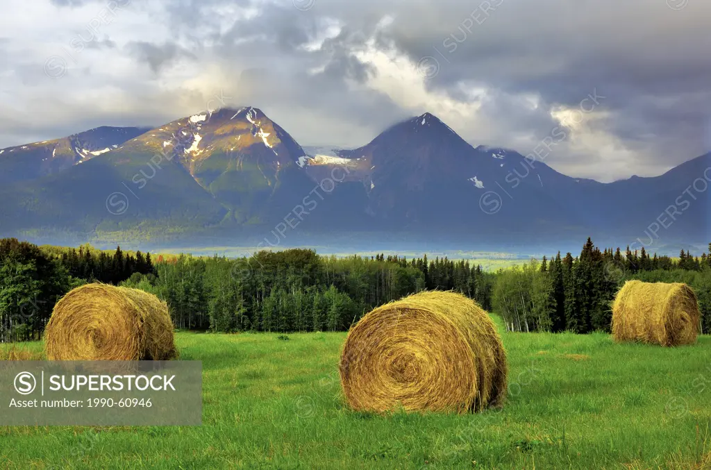This landscape image of round hay bales in a farm field with Hudson Bay Mountain in the background was captured early one fall morning in the Bulkley ...