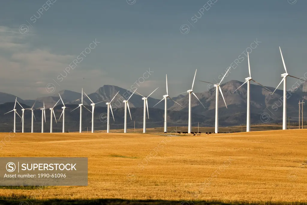 Power_generating windmills near Pincher Creek, Alberta, Canada.