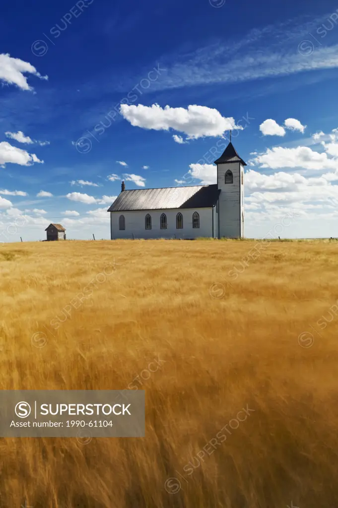 mature, harvest ready durum wheat field with St. Elizabeth Roman Catholic Church in the background, near Gravelburg, Saskatchewan, Canada