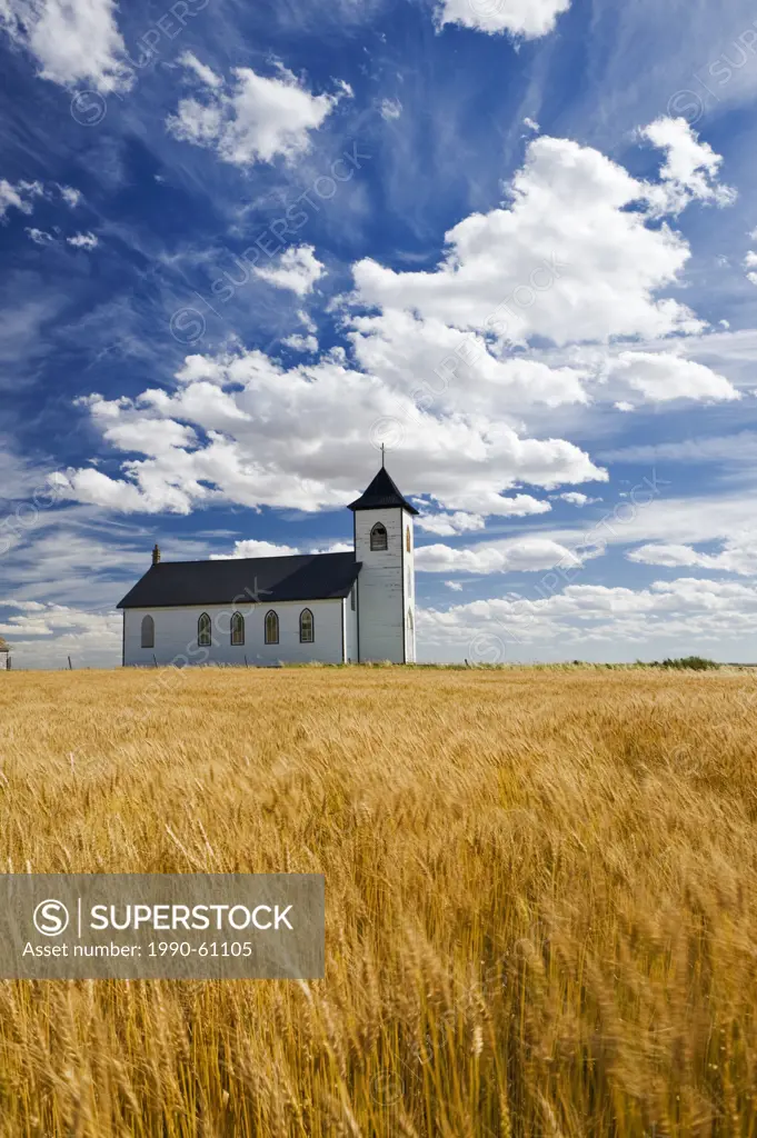 mature, harvest ready durum wheat field with St. Elizabeth Roman Catholic Church in the background, near Gravelburg, Saskatchewan, Canada