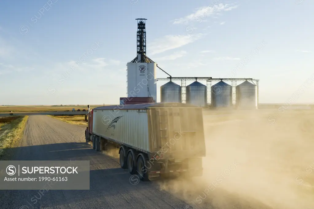 a truck hauls grain to an inland grain terminal/grain elevator Assiniboia, Saskatchewan, Canada