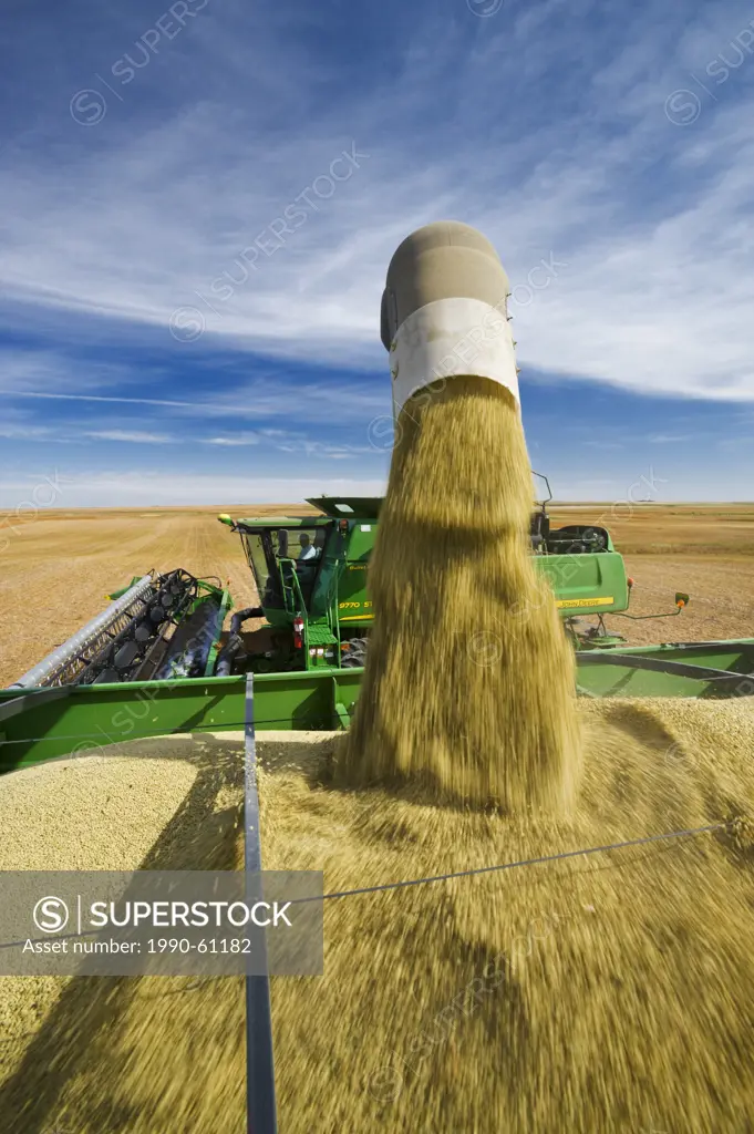 a combine unloads into a grain wagon during the lentil harvest, near Congress, Saskatchewan, Canada