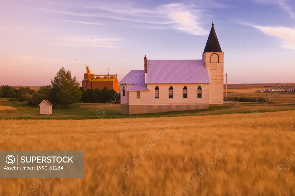 mature, harvest ready wheat field with church and grain elevator in the background, Admiral, Saskatchewan, Canada