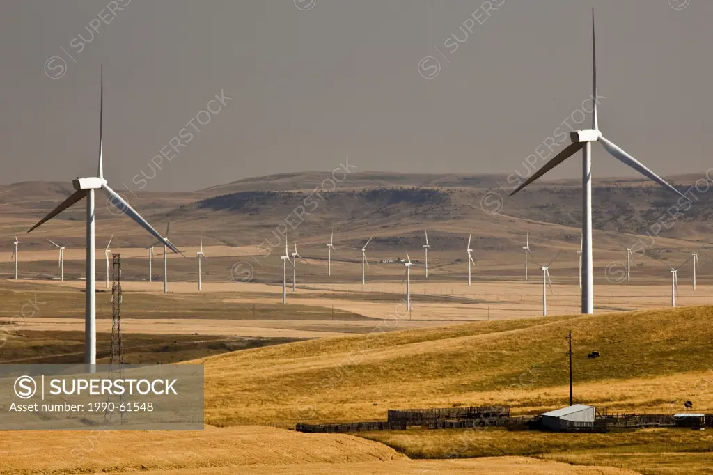 Power_generating windmills near Pincher Creek, Alberta, Canada.