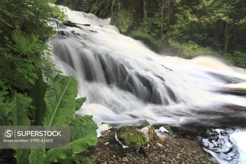 Waterfall on Diana Creek, Diana Creek Provincial Park, Prince Rupert, British Columbia