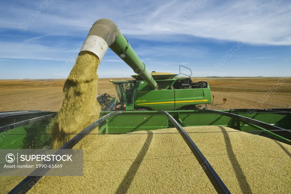 a combine unloads into a grain wagon during the lentil harvest, near Congress, Saskatchewan, Canada