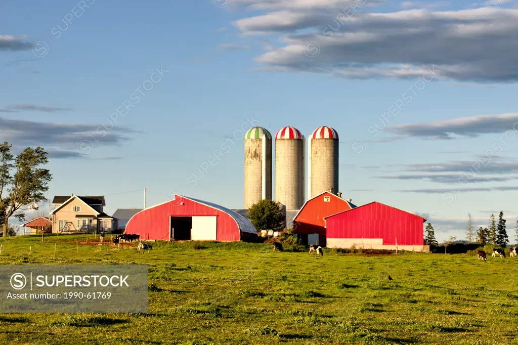 Dairy farm, Truro, Nova Scotia, Canada