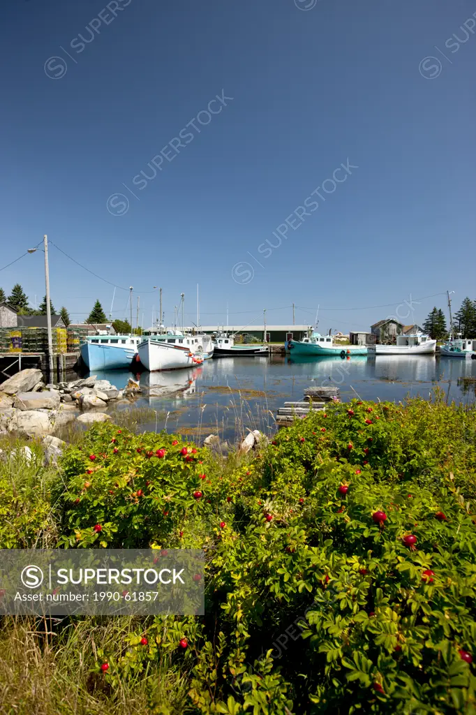 Fishing boats tied up at Moose Harbour, Nova Scotia, Canada