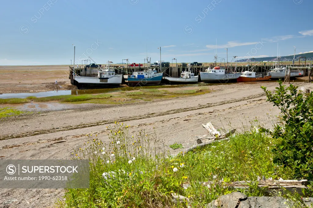 Fishing boats tied up to wharf at Low tide, Advocate Harbour, Bay of fundy, Nova Scotia, Canada