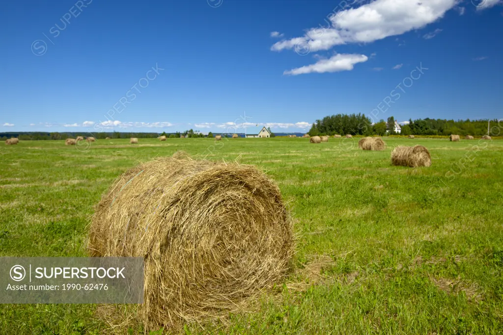 Baled hay near Wallace, Sunrise Trail, Nova Scotia, Canada