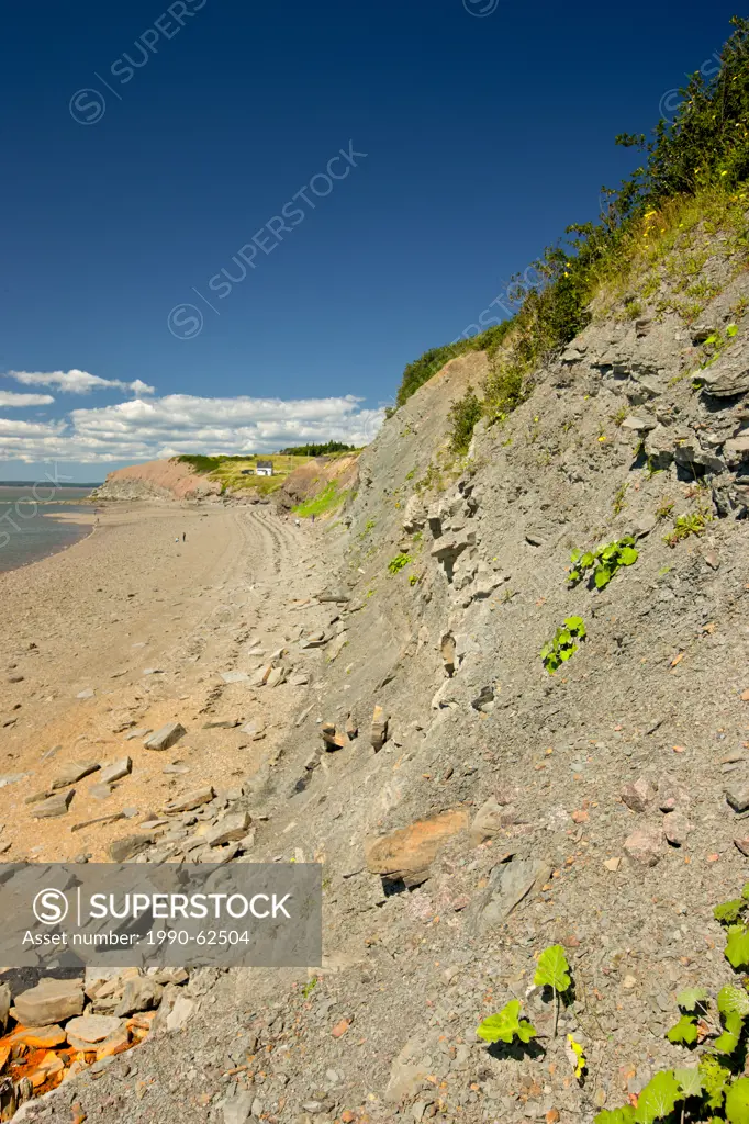 Joggins Fossil cliffs, Bay of Fundy, Nova Scotia, Canada
