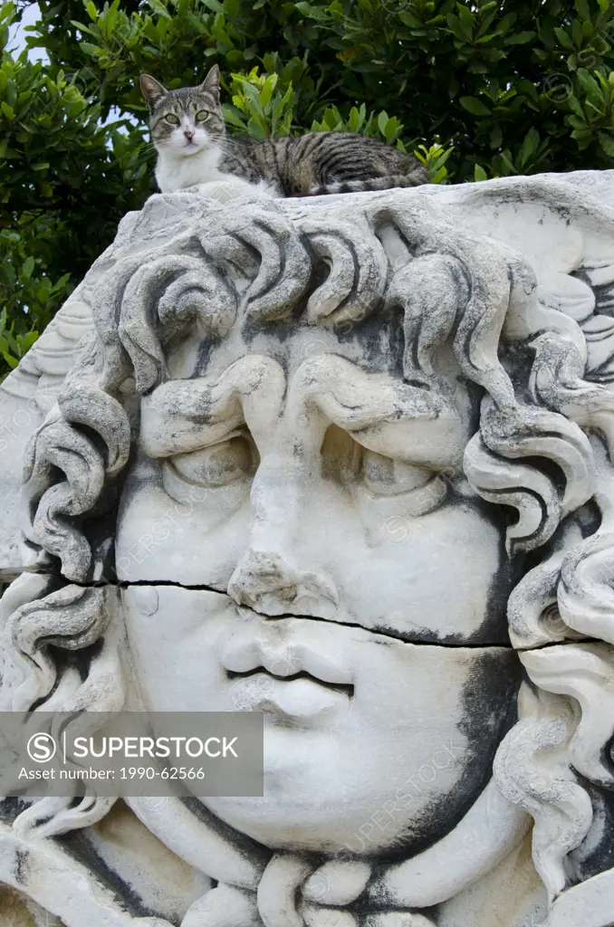 A stone_carved Medusa head with a cat at Didyma, an ancient Ionian sanctuary, in modern Didim, Turkey, containing the Temple of Apollo, the Didymaion.