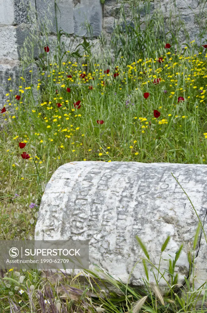Old column with greek script, Miletus, an ancient Greek city on the western coast of Anatolia, Turkey