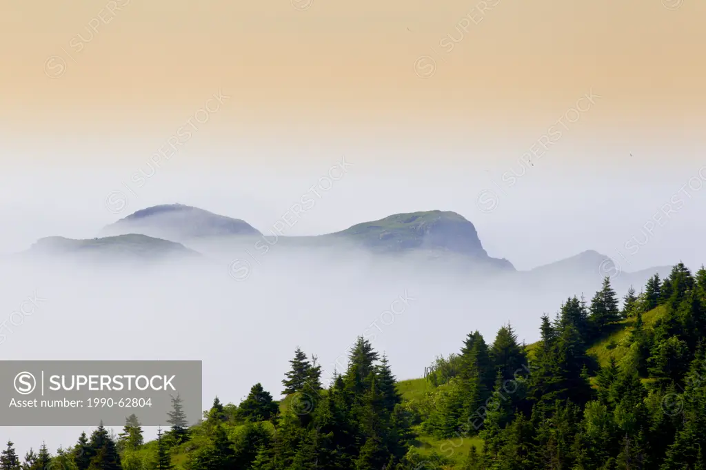 Ship Island in the fog, Witless Bay Ecological Reserve, Newfoundland, Canada