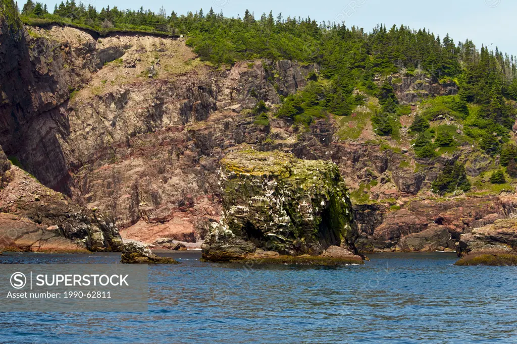 Coastal cliffs, Witless Bay Ecological Reserve, Newfoundland, Canada
