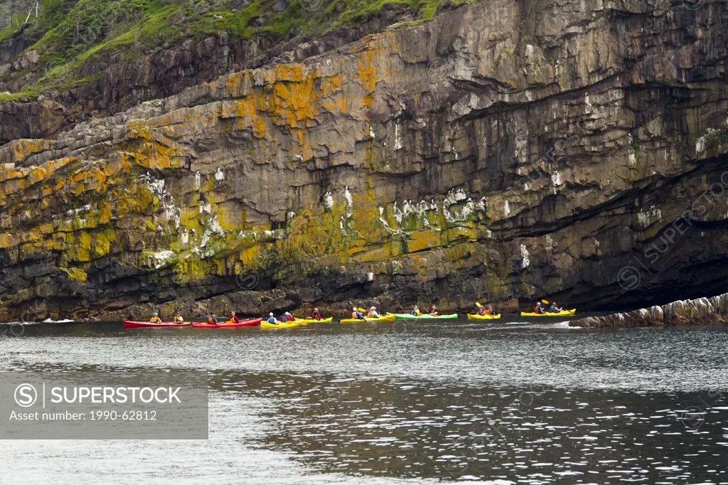 Sea Kayaking along coastal cliffs, Witless Bay Ecological Reserve, Newfoundland, Canada