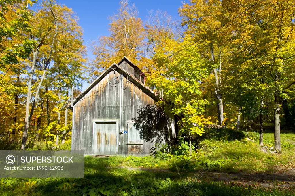 Fall foliage and sugar Maple shack, Saint_Louis, Quebec, Canada