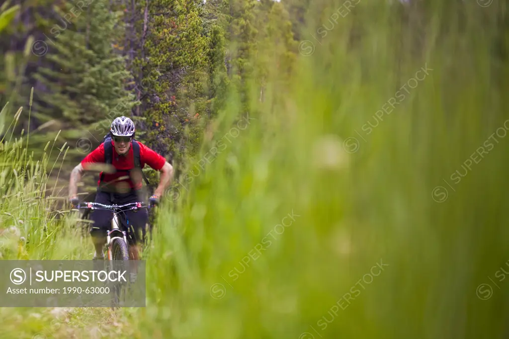 A male mountain biker riding through tall grass. Canmore, Alberta, Canada