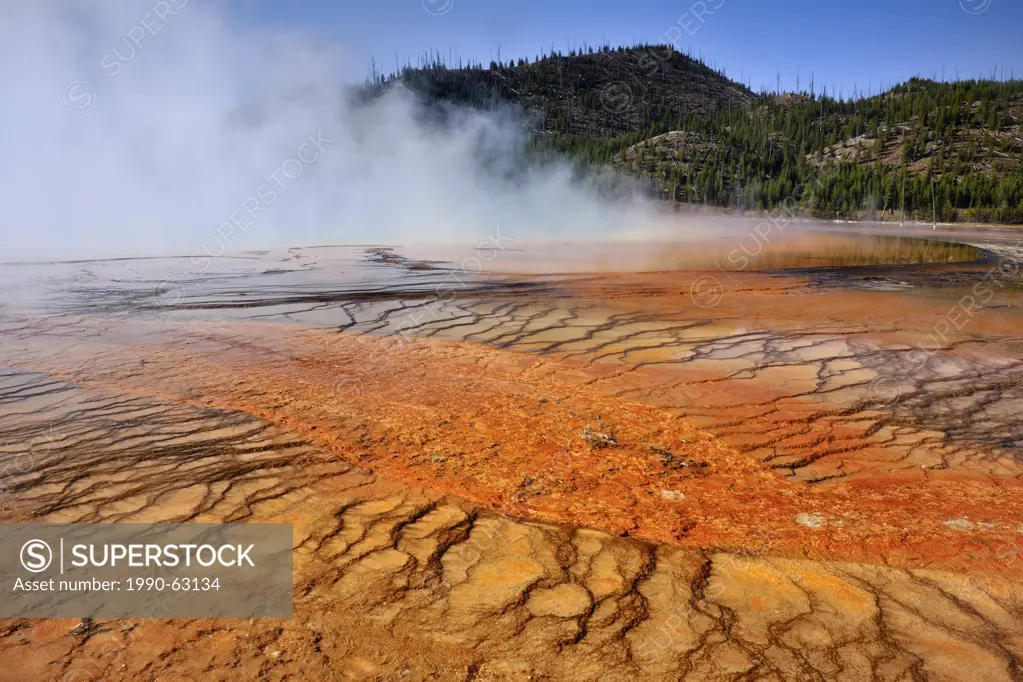 Midway Geyser Basin_ Alage colonies at Grand Prismatic Spring, Yellowstone NP, Wyoming, USA