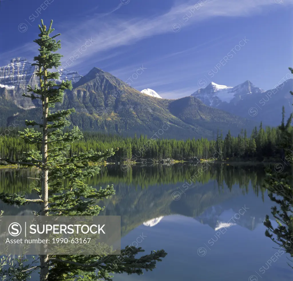 Reflection in Herbert Lake , Highway 93 , near Lake Louise, Banff National Park , Rocky Mountains