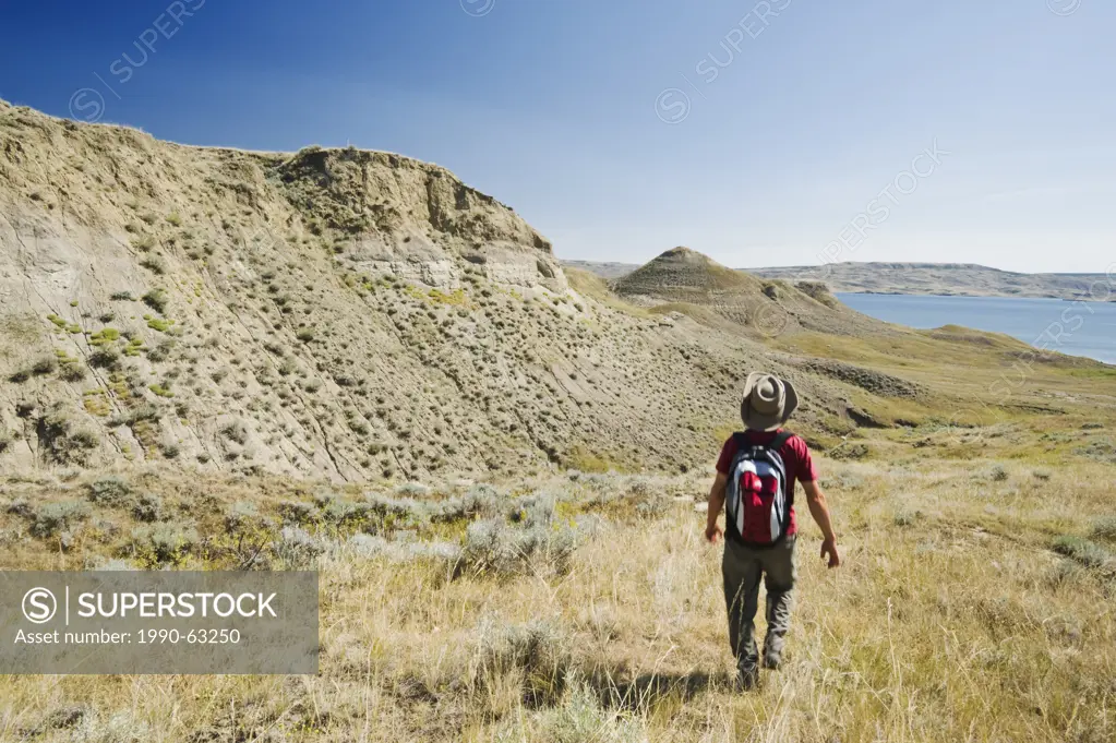 hiker, South Saskatchewan River Valley near Beechy, Saskatchewan, Canada