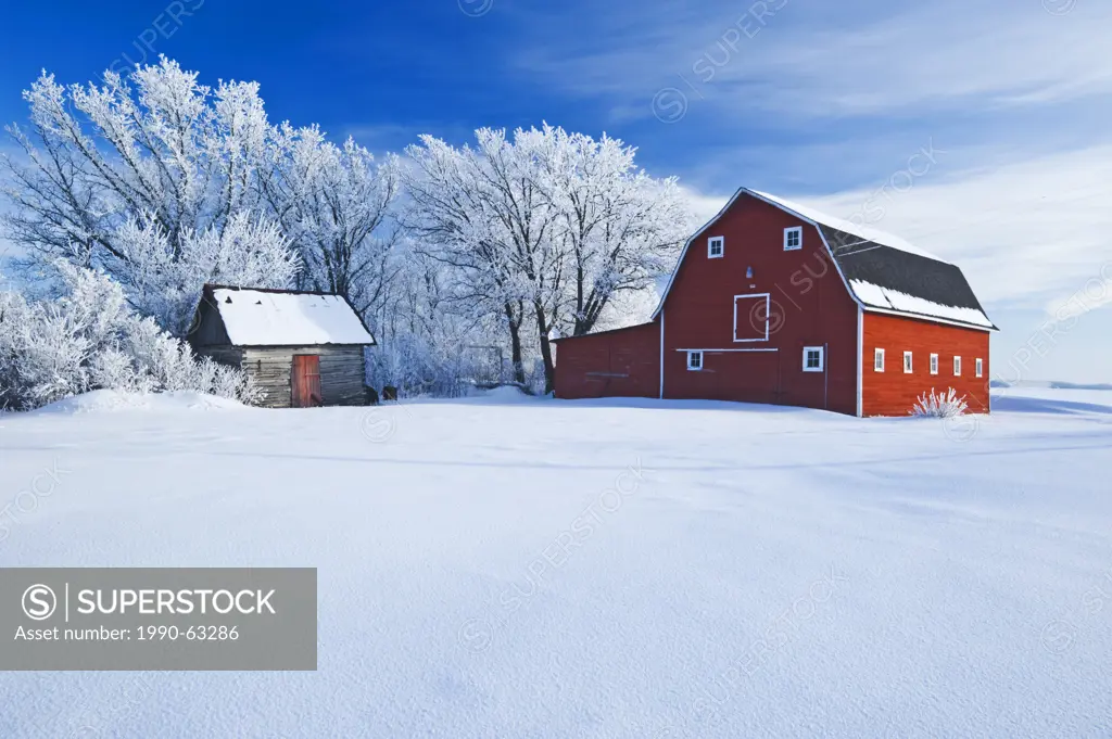 red barn and trees coated with hoarfrost, near Beausejour, Manitoba, Canada