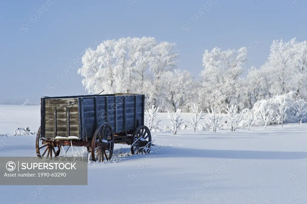 old wagon, hoarfrost on trees, near Oakband, Manitoba, Canada