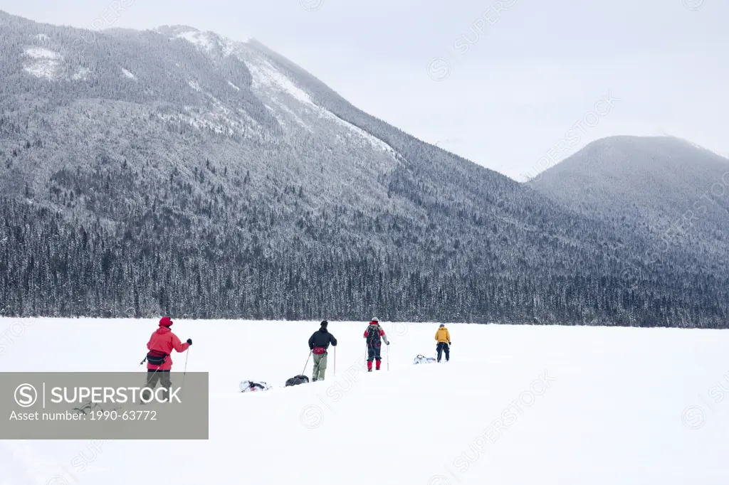 Ski touring, Back country skiing, Bowron Lake Park, British Columbia, Canada