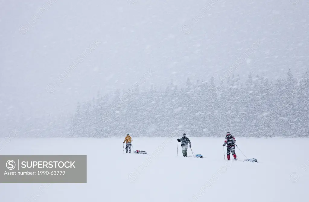 Ski touring, Back country skiing, Bowron Lake Park, British Columbia, Canada