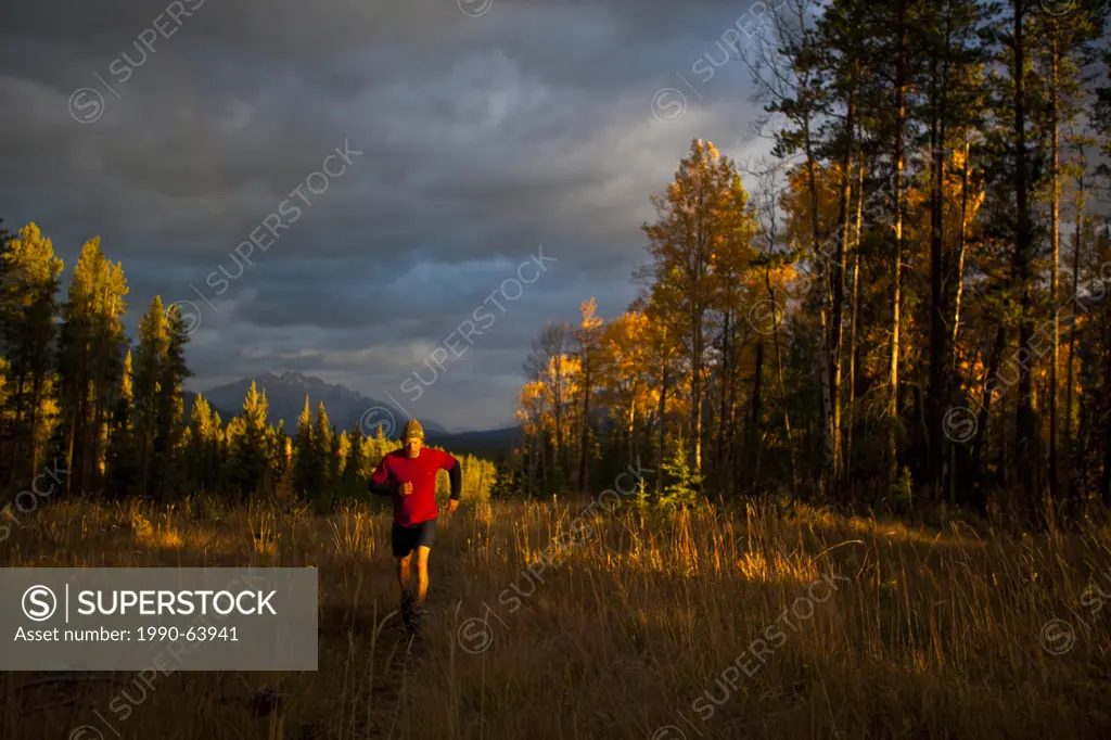 A young, fit woman trail running the Highline trail in Canmore, AB