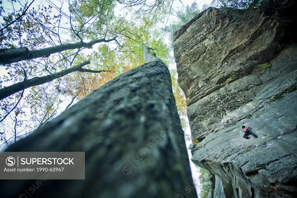 A strong female climber ascends Twinkie 12a, Red River Gorge, Kentucky