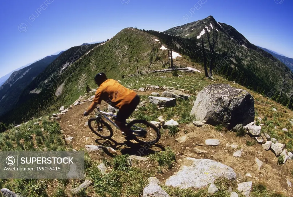 A young man decending on some sweet single track on the Seven Summits trail in Rossland, British Columbia, Canada