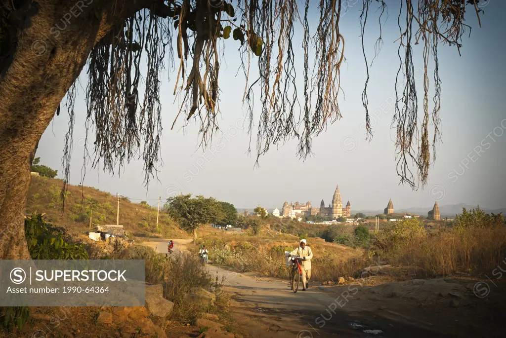 Above the town of Orchha at sunset, Orchha India