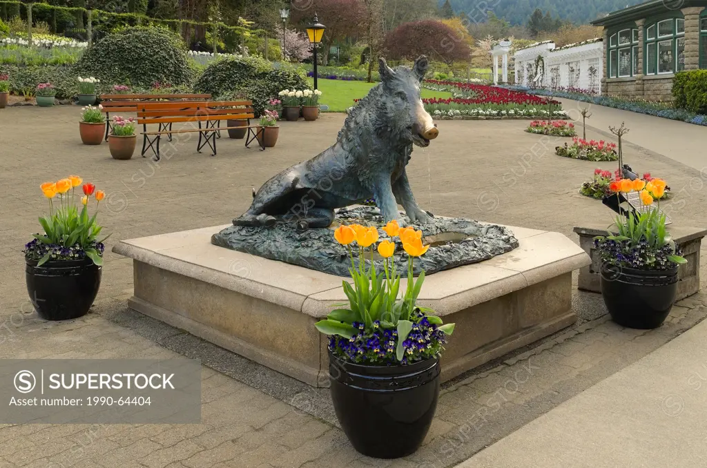 The wild boar statue, ´Tacca´ Butchart Gardens, Brentwood Bay, Vancouver Island, British Columbia, Canada