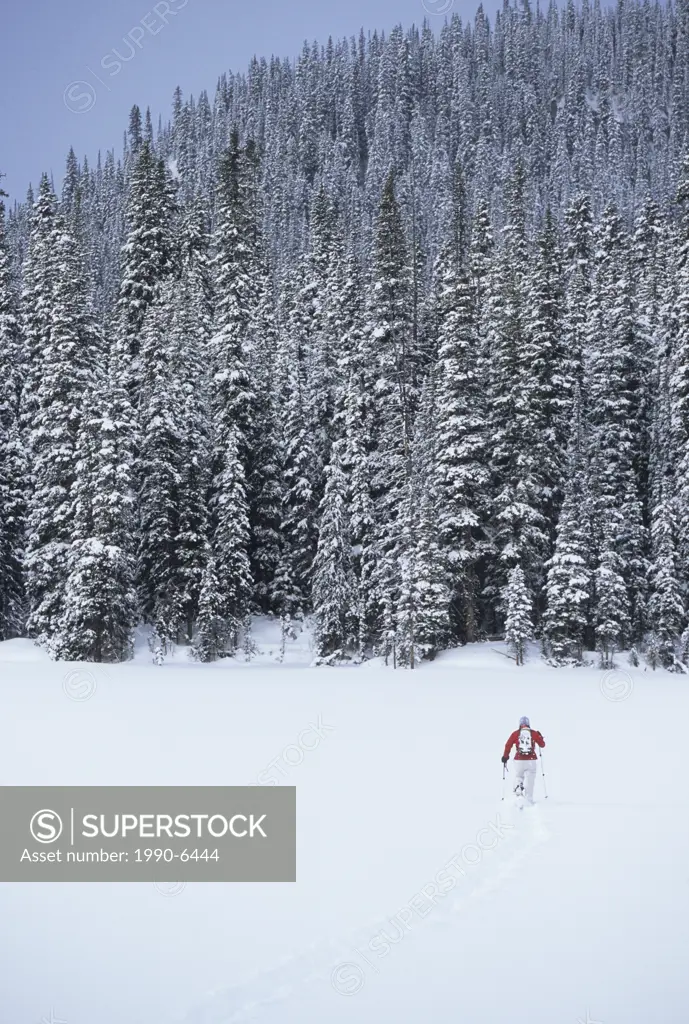 young woman snowshoeing in Kananaskis Country, Alberta, Canada