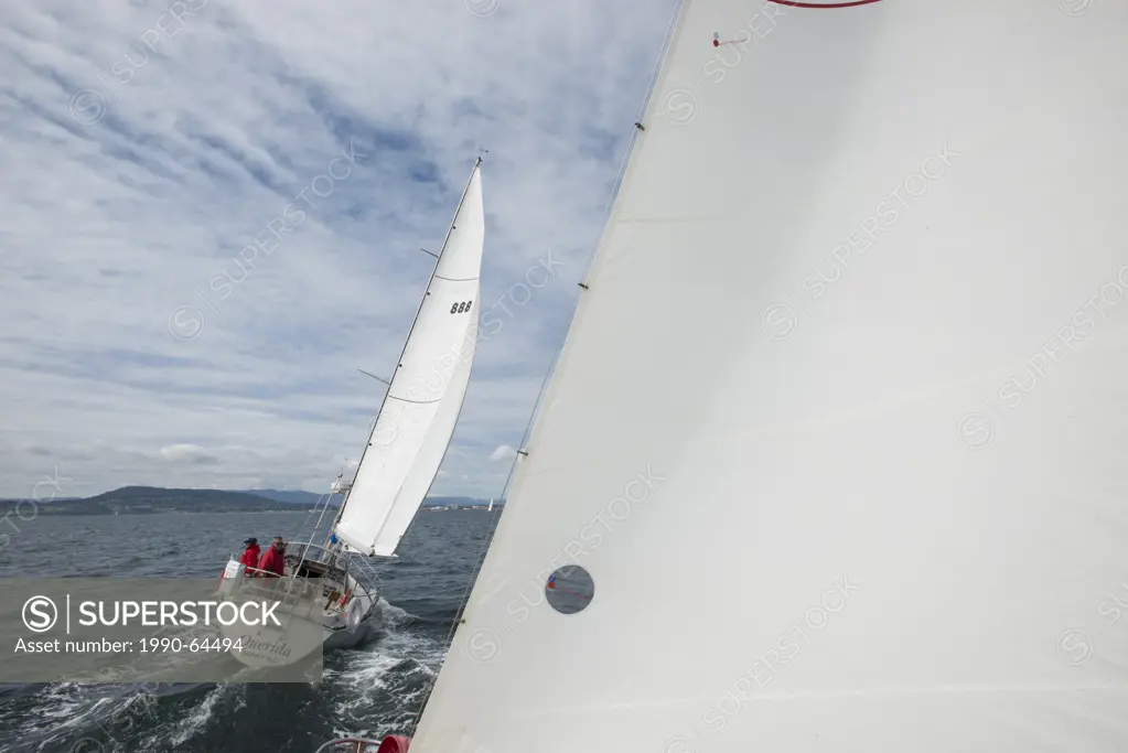 Sailboat racing, Vancouver Island, British Columbia, Canada