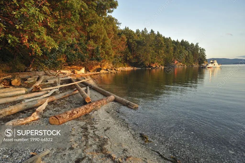 logs on beach, Tent Island, Gulf Islands, British Columbia, Canada