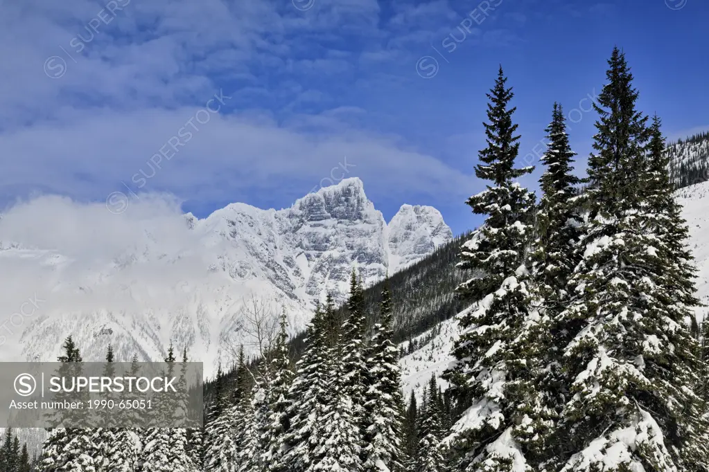 Sir Donald Range from the Rogers Pass